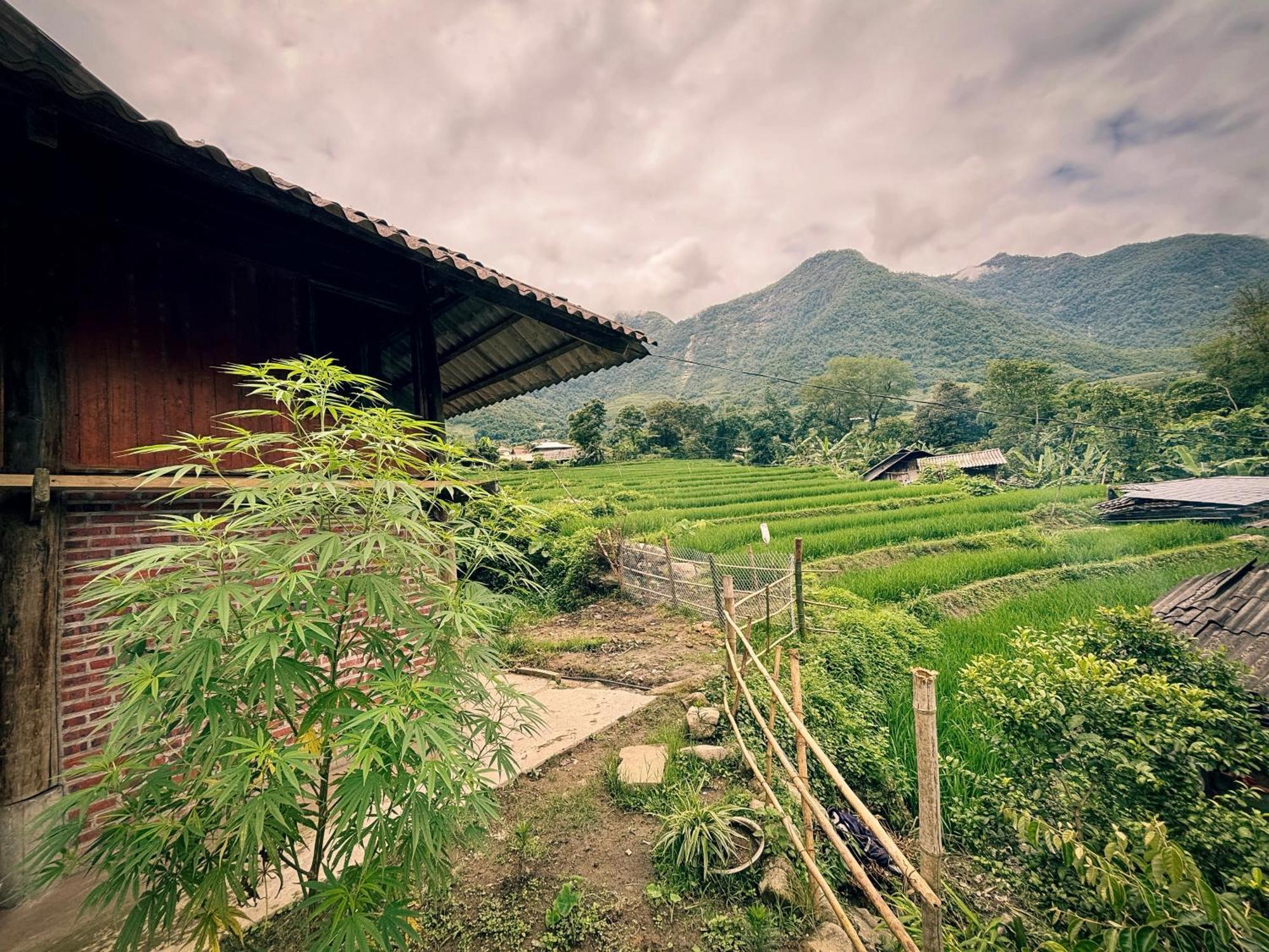 Ferienwohnung Sapa Tranquilla Exterior foto